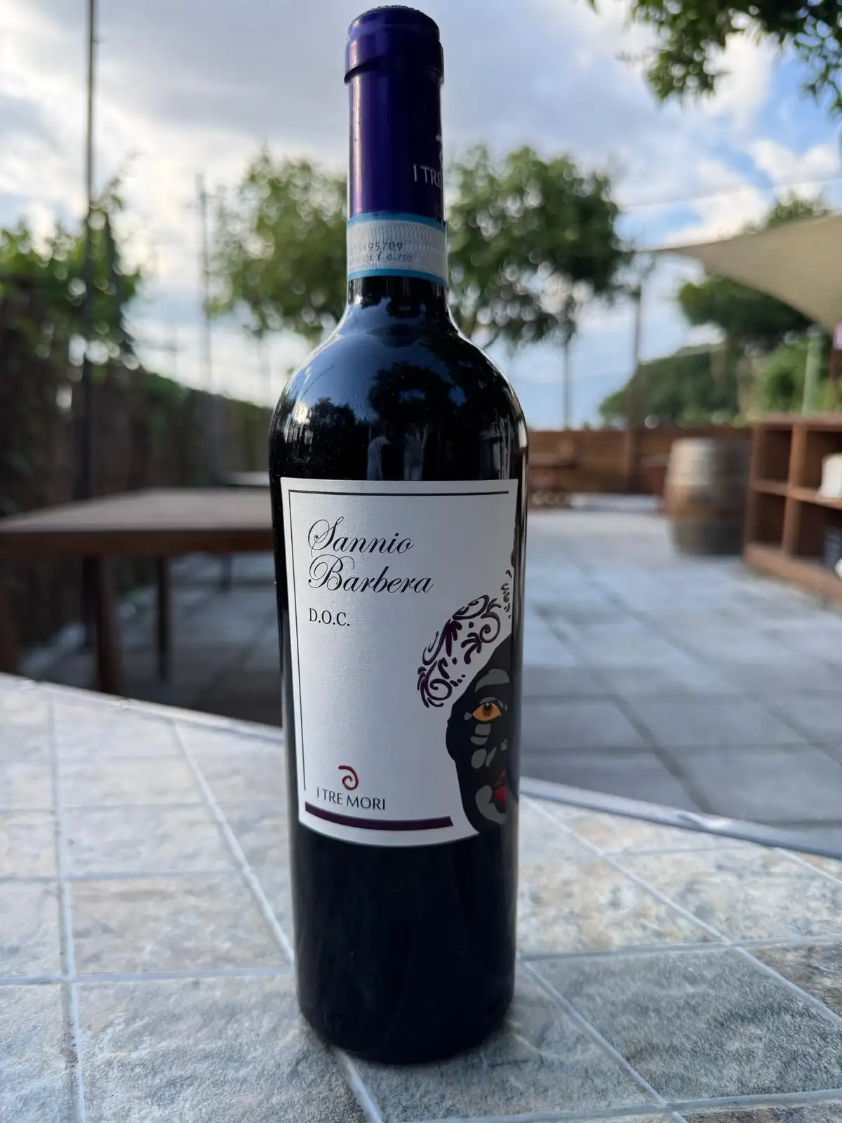 I TRE MORI - BARBERA SANNIO DOC