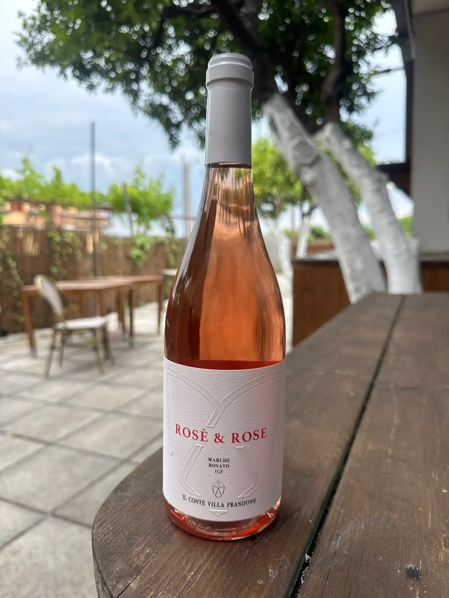 CVP - ROSE & ROSE