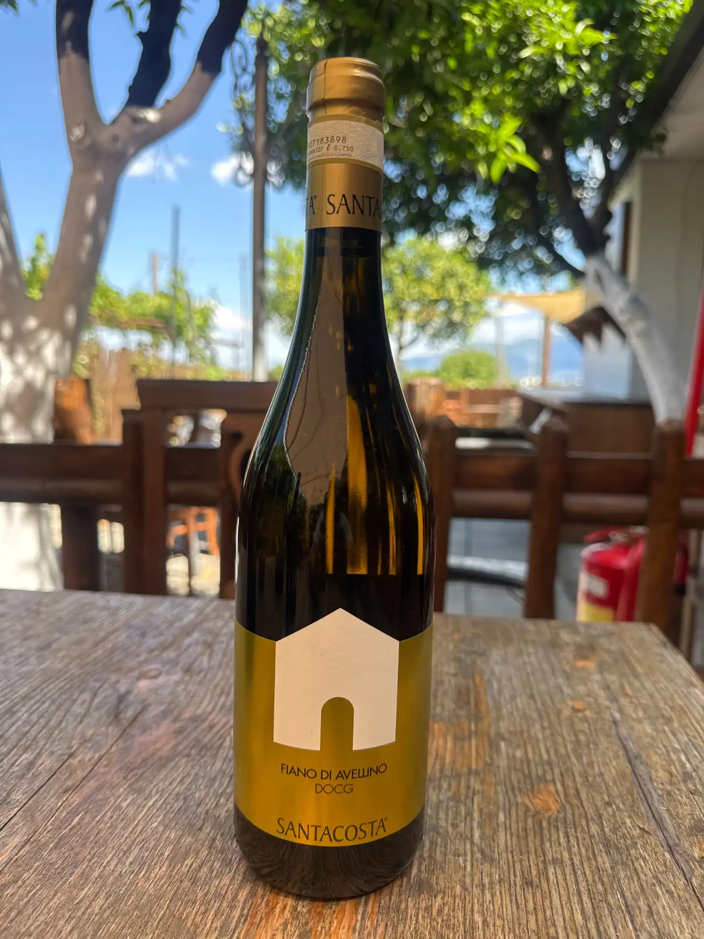 SANTACOSTA - FIANO DI AVELLINO DOCG