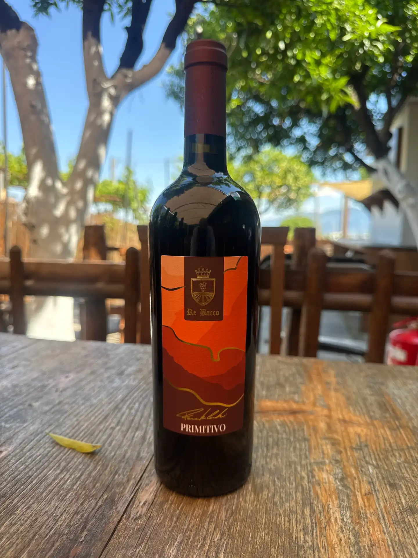 Primitivo IGT