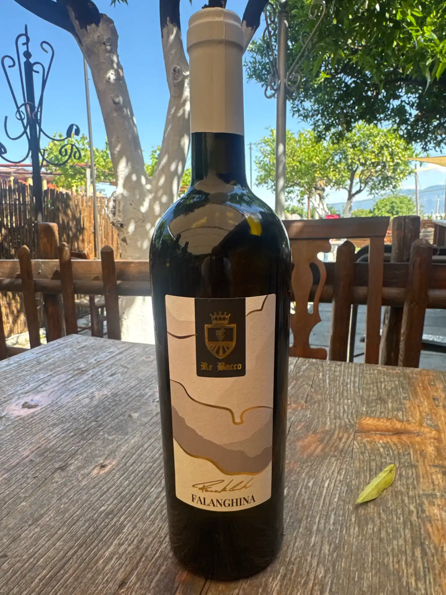 Falanghina IGT