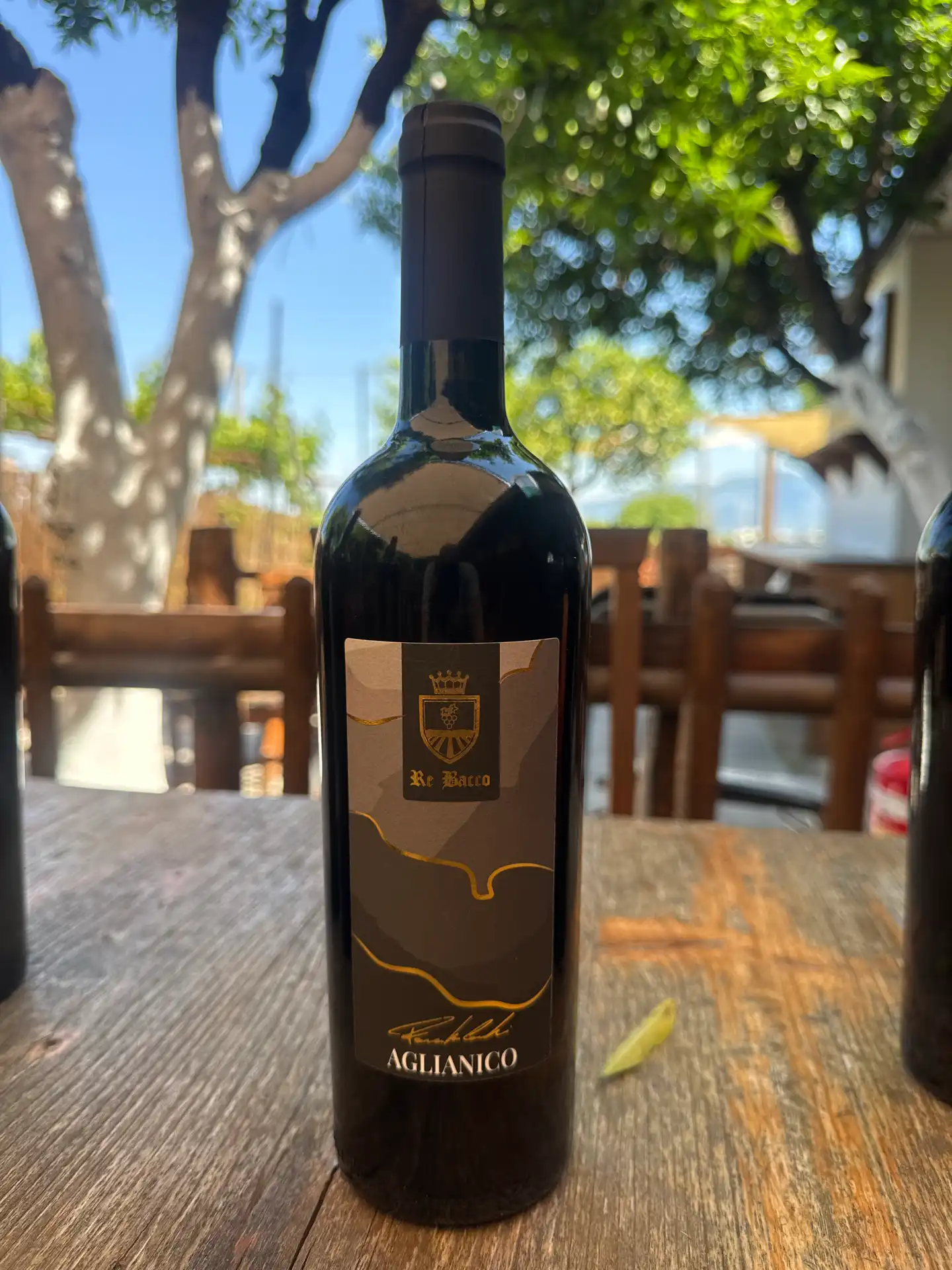 Aglianico IGT