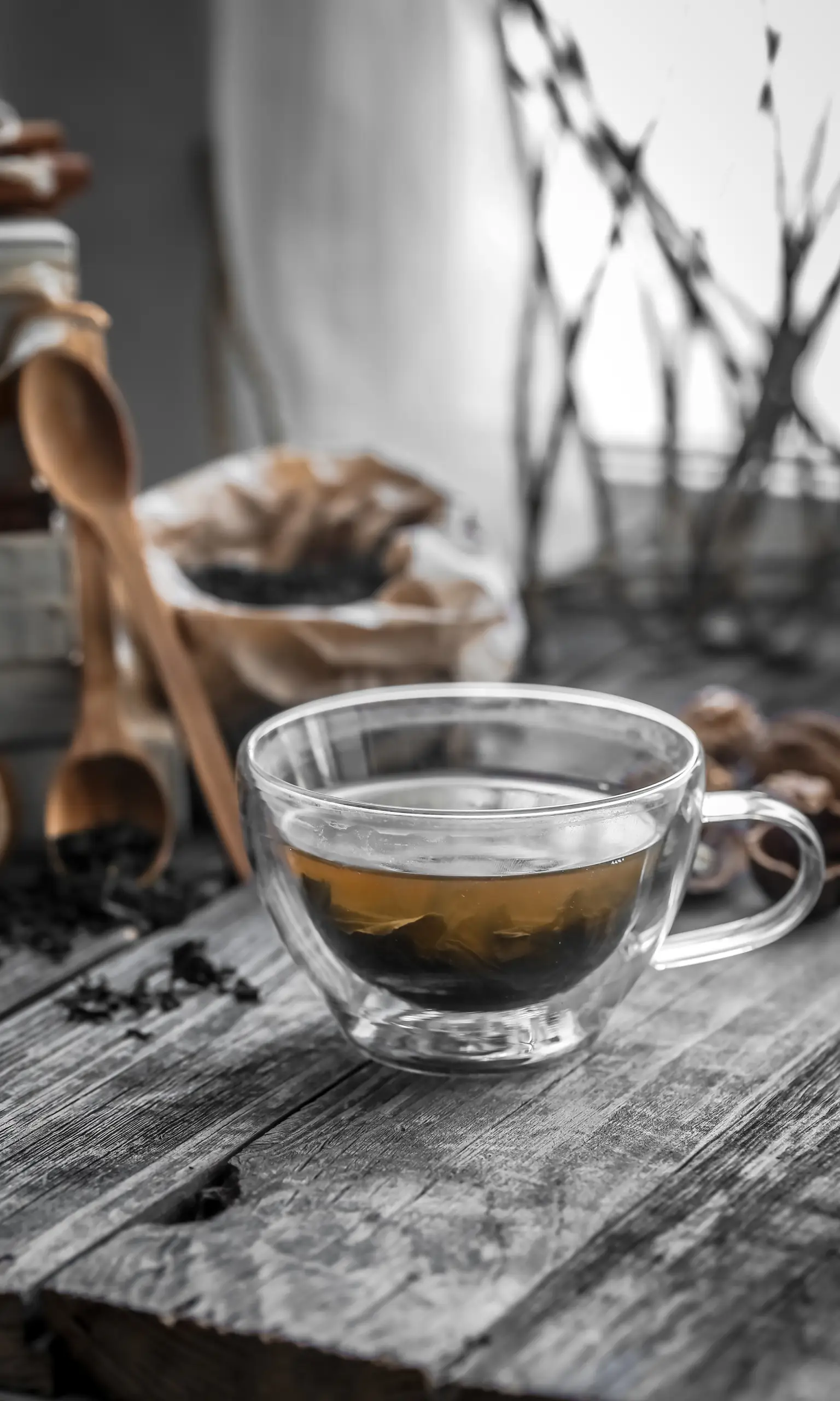 INFUSI E TISANE