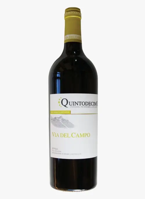 Falanghina Quintodecimo Via del Campo