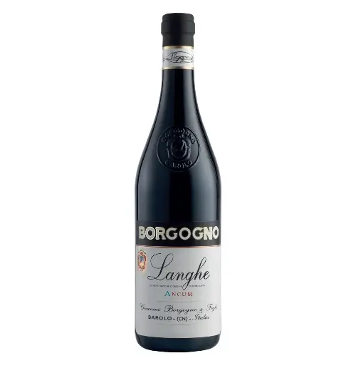 Dolcetto Giacomo Borgogno Ancum