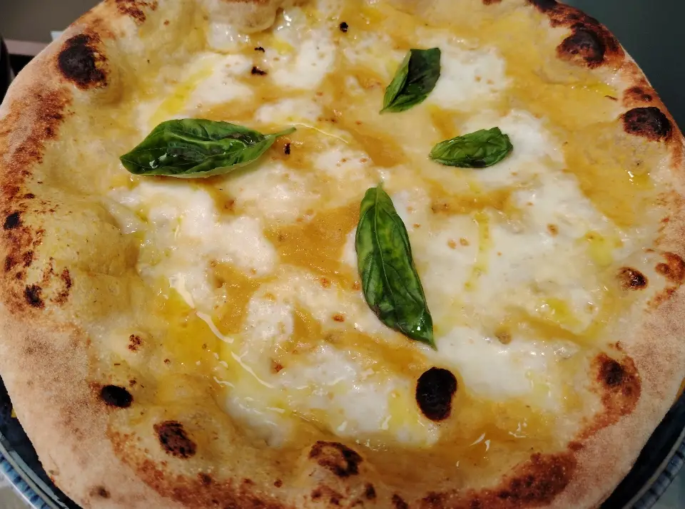 MARGHERITA DI SOLE