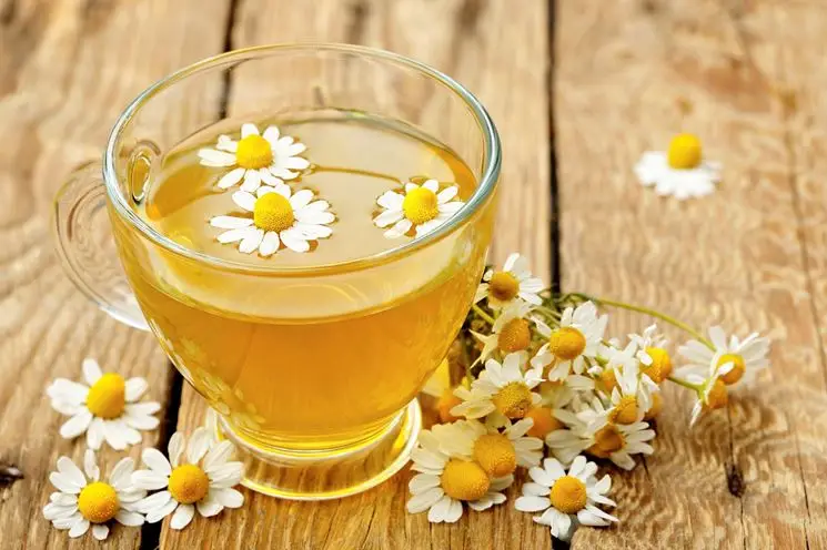 Infuso Camomilla