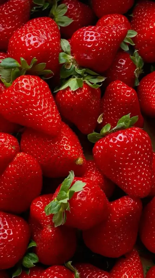 Skibidiboppy Fragola