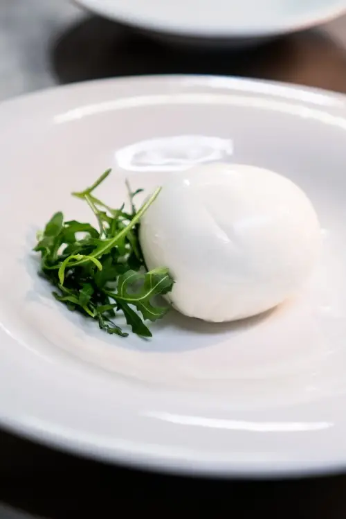 LA MOZZARELLA DI BUFALA