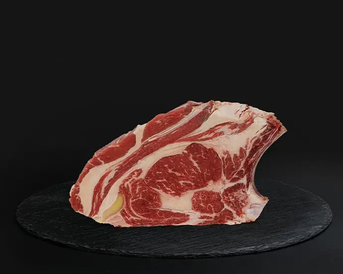 COSTATA SCOTTONA
