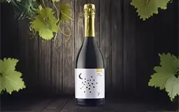 Bollicine