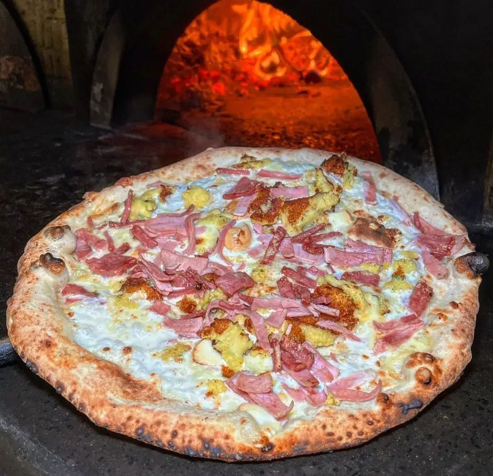 GATTÒ