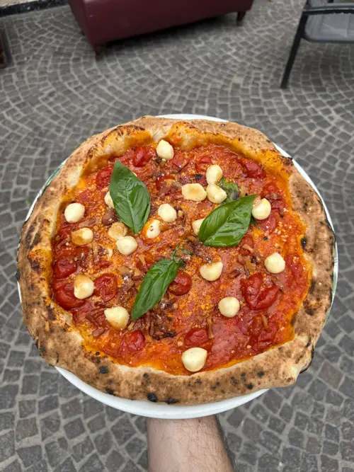 AMATRICINA ESTIVA