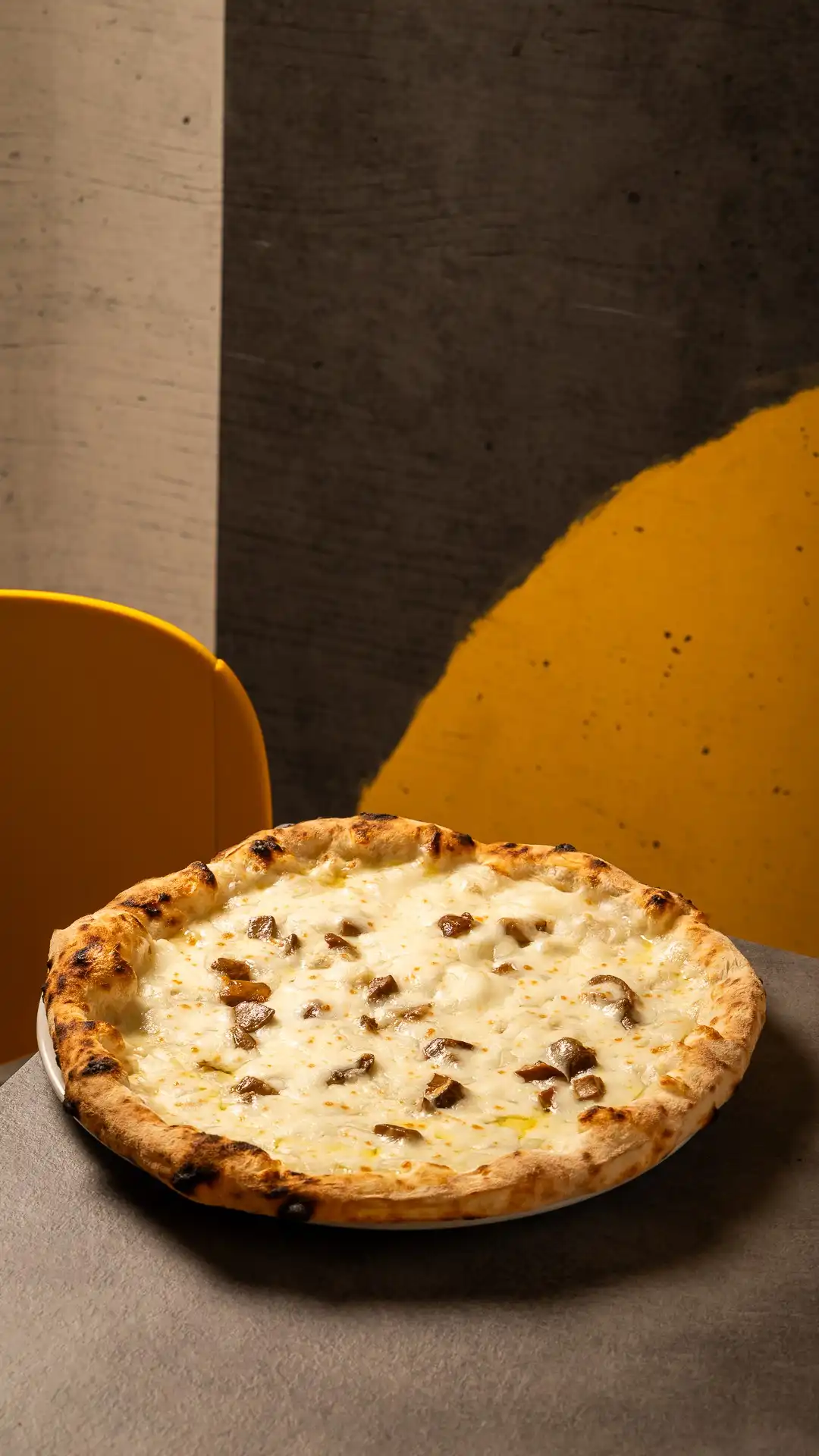 PORCINI