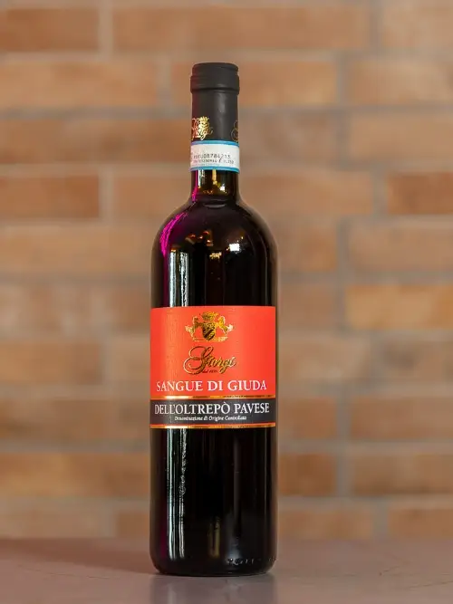 SANGUE DI GIUDA DOC GIORGI