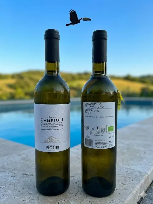 Tenuta Campioli