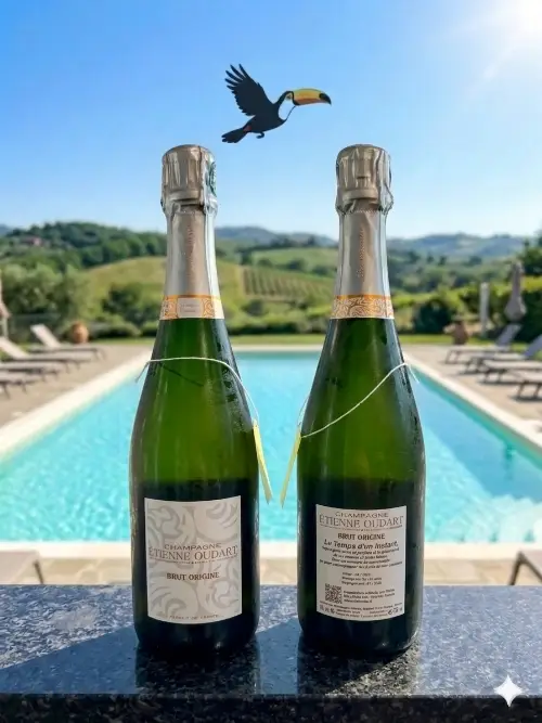 Etienne Oudart Champagne