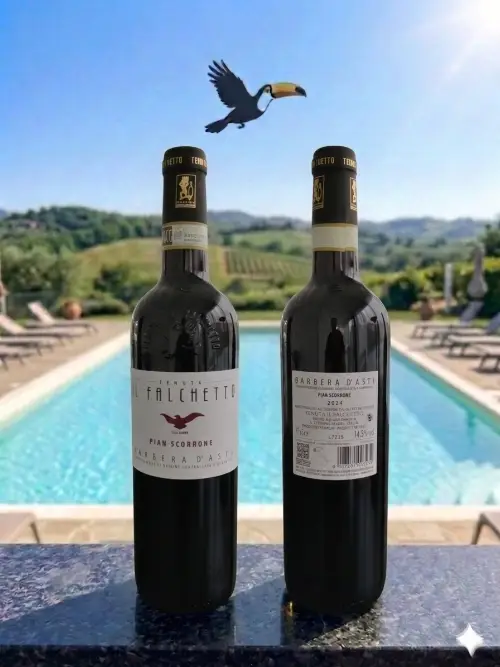 Barbera Pian Scorrone