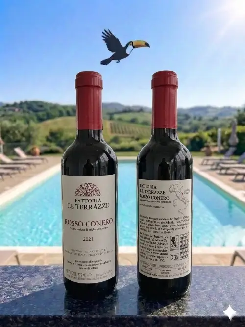Rosso Conero le Terrazze (mezza bottiglia)