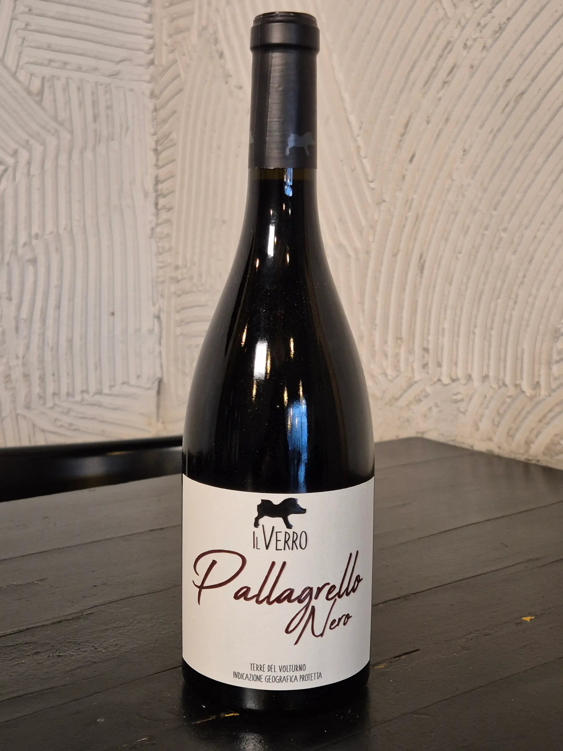 IL VERRO | PALLAGRELLO NERO IGP TERRE DEL VOLTURNO 2021